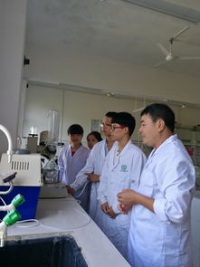 以賽促學強技能，實驗求真育匠心——環境與食品工程學院學子積極備戰廣西高校大學生化學實驗技能競賽